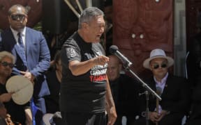 Veteran Māori activist and previous MP Hone Harawira addresses members of the coalition government at Waitangi Treaty Grounds: "You and your shitty ass bill are going down the toilet."