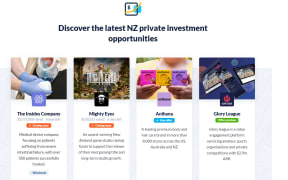 Investment opportunities being offered on Snowball Effect.