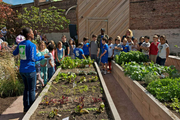 Children learn to grow food in the NY Restoration Project
