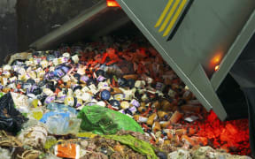 Food going to waste in Auckland.