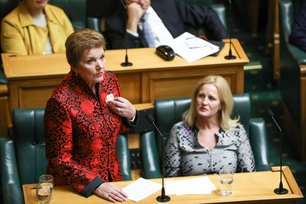 National MP Anne Tolley acknowledges the artist of the white camellia brooch she's wearing. The flower was worn as a symbol of support for women gaining the right to vote in New Zealand.