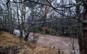 Silver Stream in North Taieri.