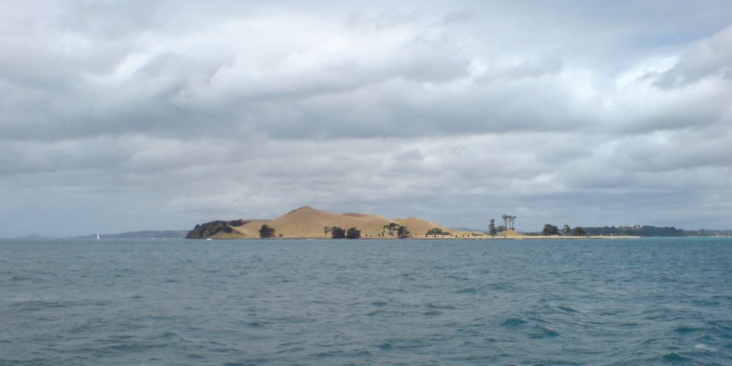Motukorea, or Browns Island, in Auckland's Hauraki Gulf.