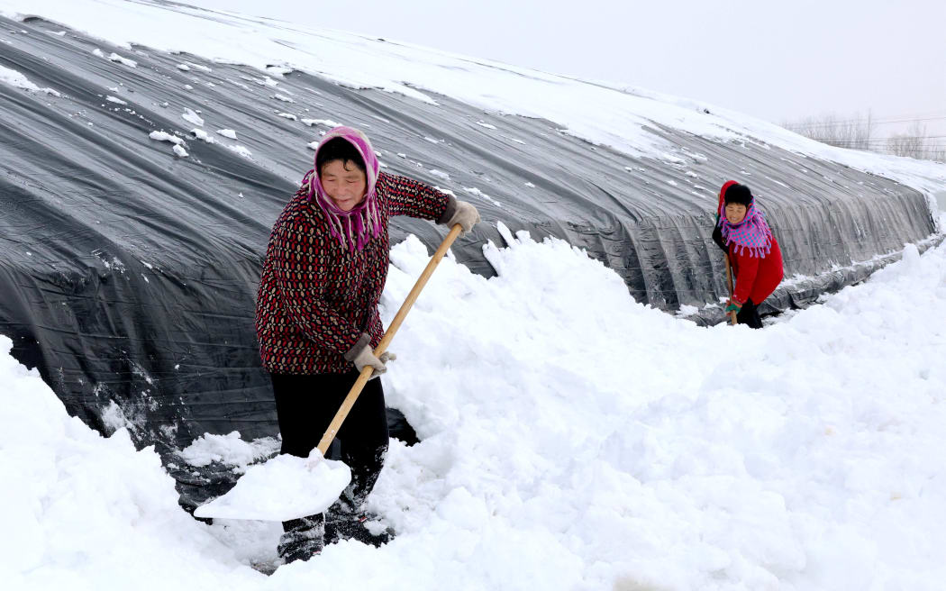 Farmers clearing snow from greenhouses in Binzhou City, Shandong Province, China, on 15 December. (Photo by CFOTO / NurPhoto / NurPhoto via AFP)