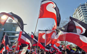 National Māori Action Day protesters, opposing government policies toward Māori, in central Auckland ahead of the release of Budget 2024 on 31 May 2024.