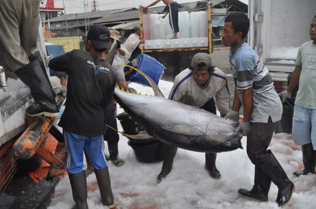 Tuna fishing