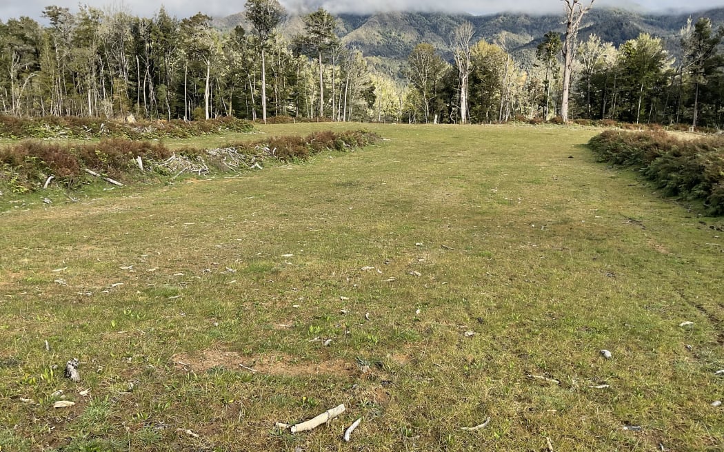Part of the area where indigenous forest was removed on the Shenandoah Highway in the remote Maruia Valley.