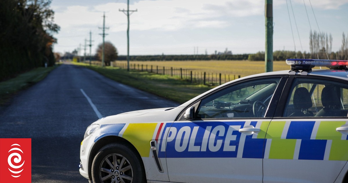 Horses shot dead after cutting loose on motorway near Taupō