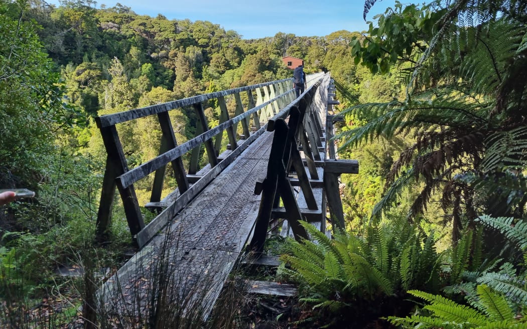 The Hump Ridge Track near Tuatapere.