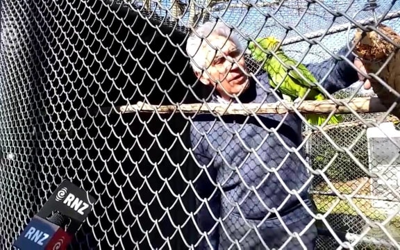 Cambridge parrot te reo trio meet Andrew McRae: RNZ Checkpoint