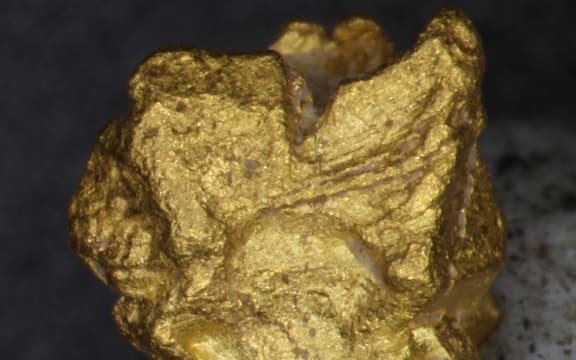 Gold nugget