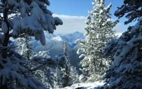 Canada Snow