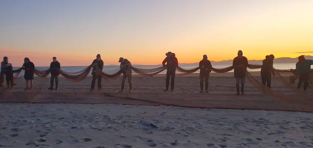 Dawn colours are in the sky as a line of 10 people hold a fine net which sags gently between them.