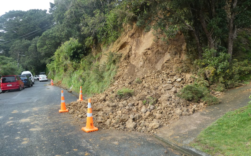 A slip on Volga Street in the Wellington suburb of Island Bay.