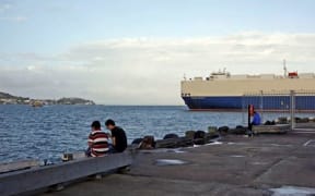 According to the protest group, this shows the harbour before the Bledisloe Wharf Extension.