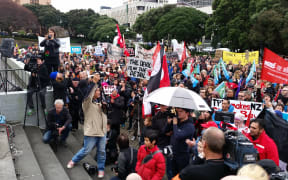 Wellington's protesters chant, clap and jeer on the steps of Parliament as guest speakers address the crowd