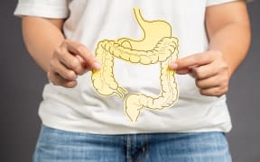 Hand holding a large intestine shape made from yellow paper while standing over a gray background.