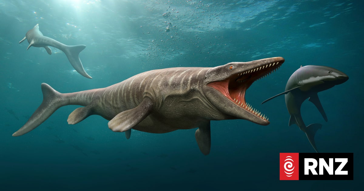 Massive marine predator crowned T rex of the ocean and 'a true terror ...