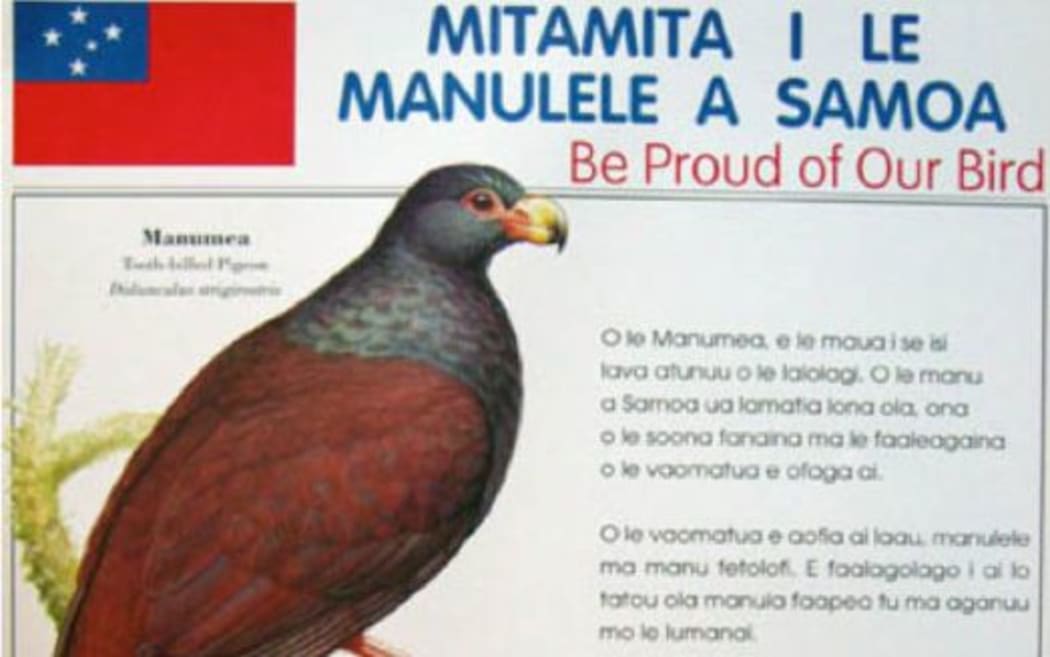 Samoa's native bird, the Manumea.