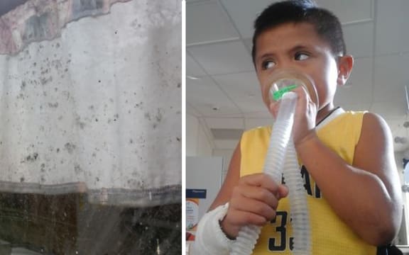 Iriah, the son of Te Ao Marama Wensor, who has been living in a mouldy house. With the window of another house on offer