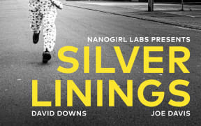 Silver Linings book cover