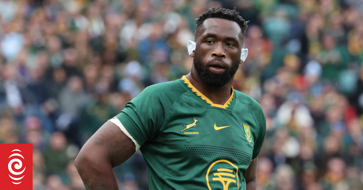 Live rugby: South Africa v France at Stade de France