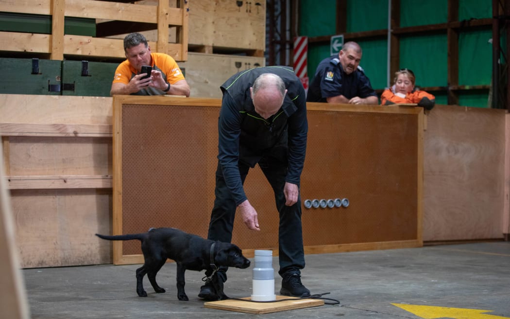 Dogs trainer Dick Staal at a NZDF training seminar