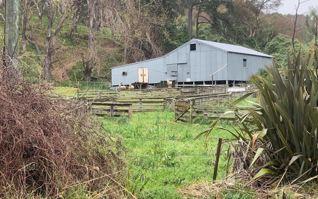 Wool Shed