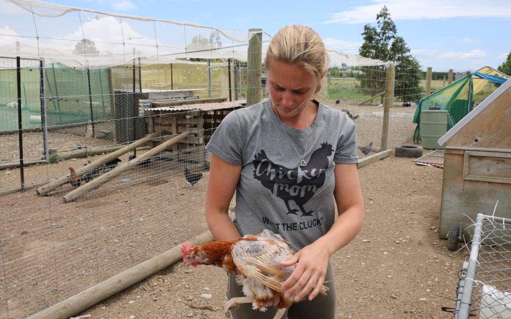 North Canterbury Chicken Rescue