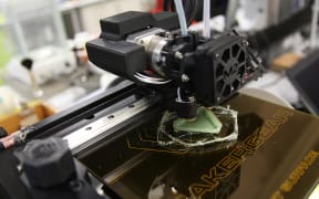 Going bio: the next frontier in 3D and 4D printing