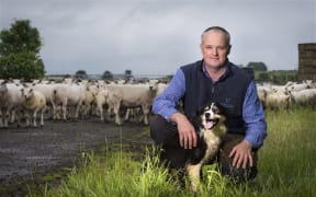 John squats in front of a herd of sheep, holding a happy-looking sheepdog. He smiles at the camera.