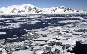 Pieces of free floating sea ice, also called drift ice or brash ice, in Wilhelmina Bay, along the west coast of Graham Land on the Antarctic Peninsula.