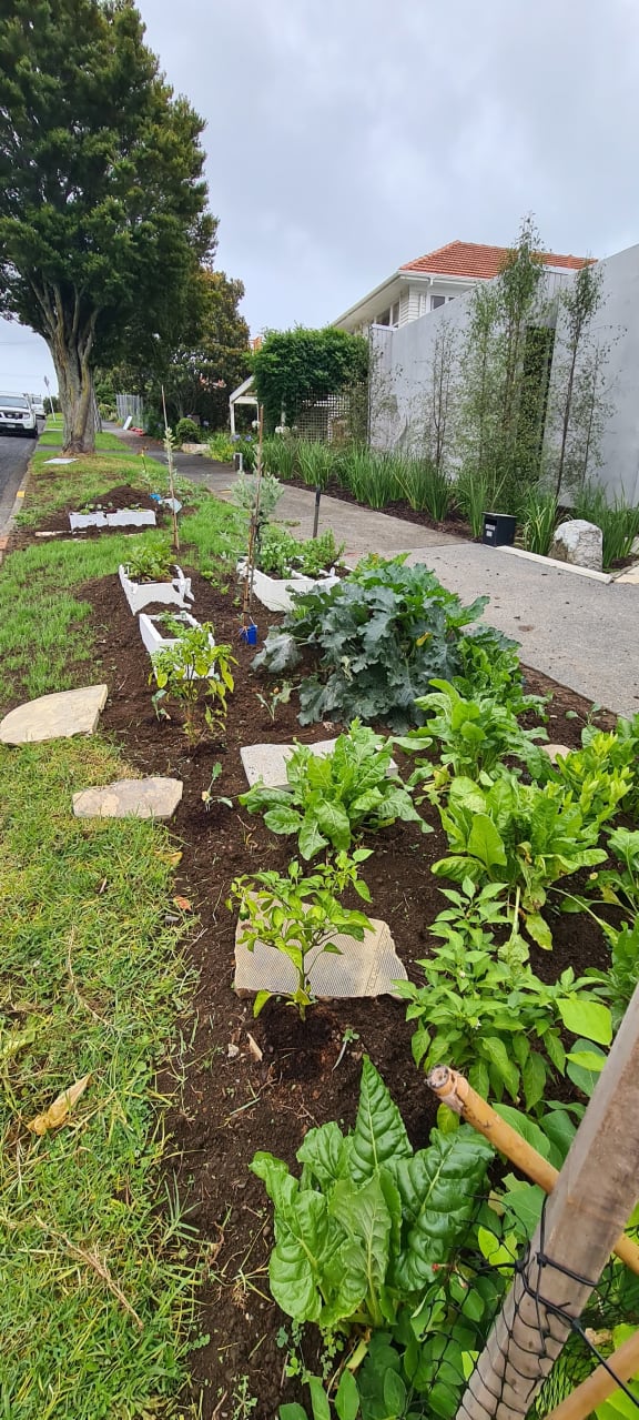 Christine Hobbs' berm garden in the Auckland suburb of Glendowie.