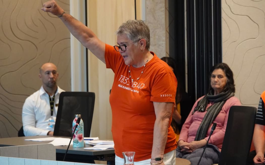 Ngā Hapū o Whangārei representative Delaraine Armstrong speaks during the meeting.