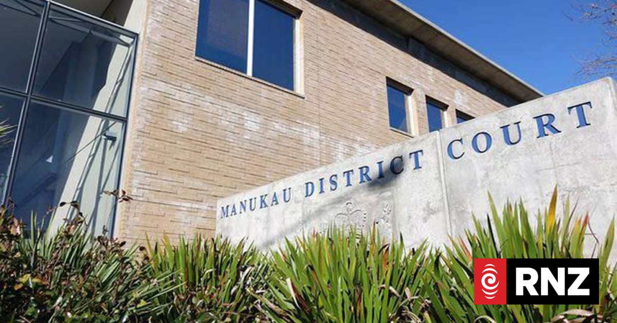 Mother of six gets home detention for $190,000 tax fraud