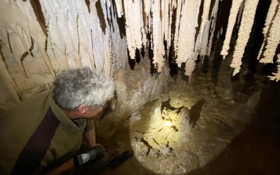 Ben Stubbs inside Ann's cavern inspecting moa bones.
