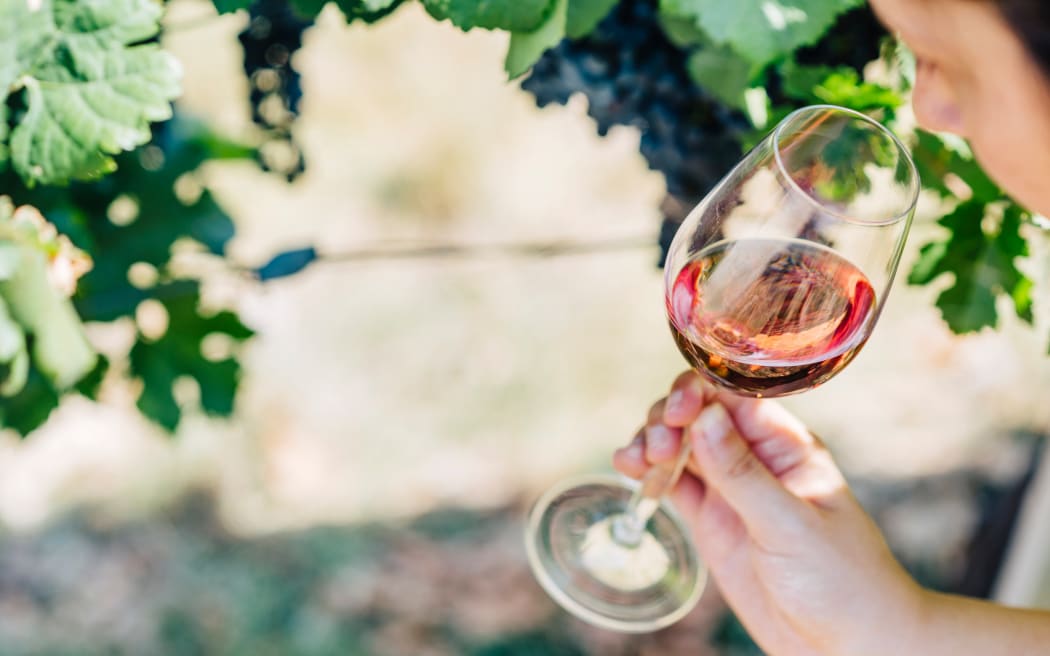 Australian farmers rip out millions of vines amid wine glut