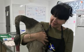 Elena Zueva, who is Russian, wants to resettle in New Zealand