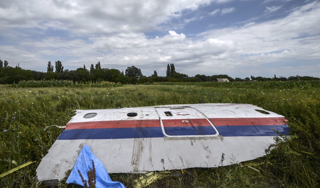 (FILES) In this file photo taken on July 20, 2014 a piece of the wreckage of the Malaysia Airlines flight MH17 is pictured in a field near the village of Grabove, in the region of Donetsk on July 20, 2014. -