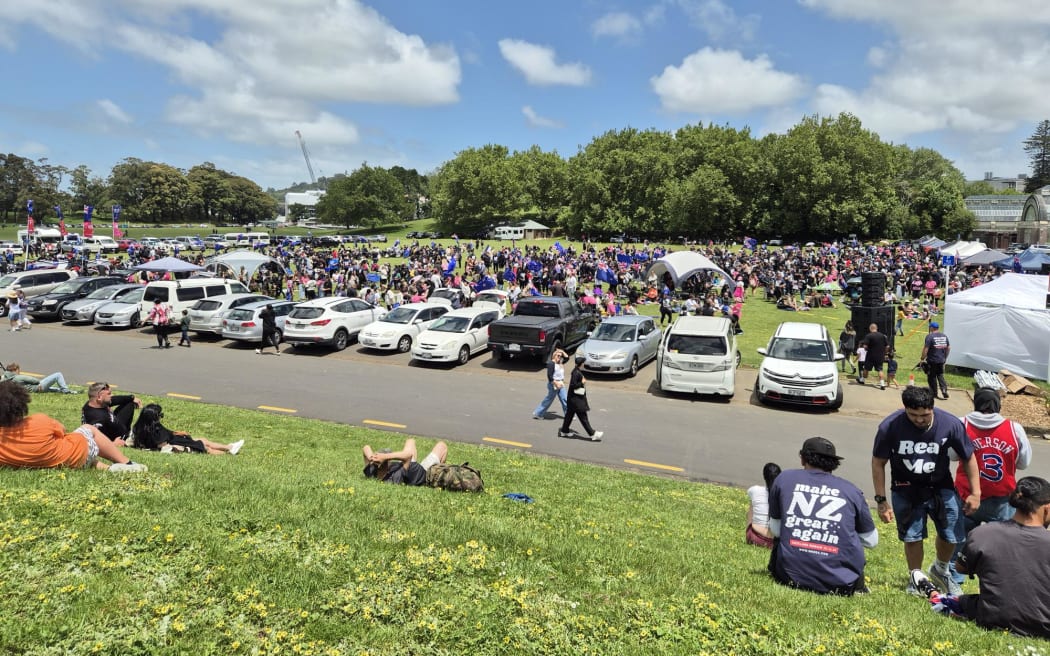 Several hundred people gathered at the 'Make New Zealand Great Again' rally.