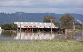 There had only needed to be a small amount of milk dumping, Farm Source Fonterra said.