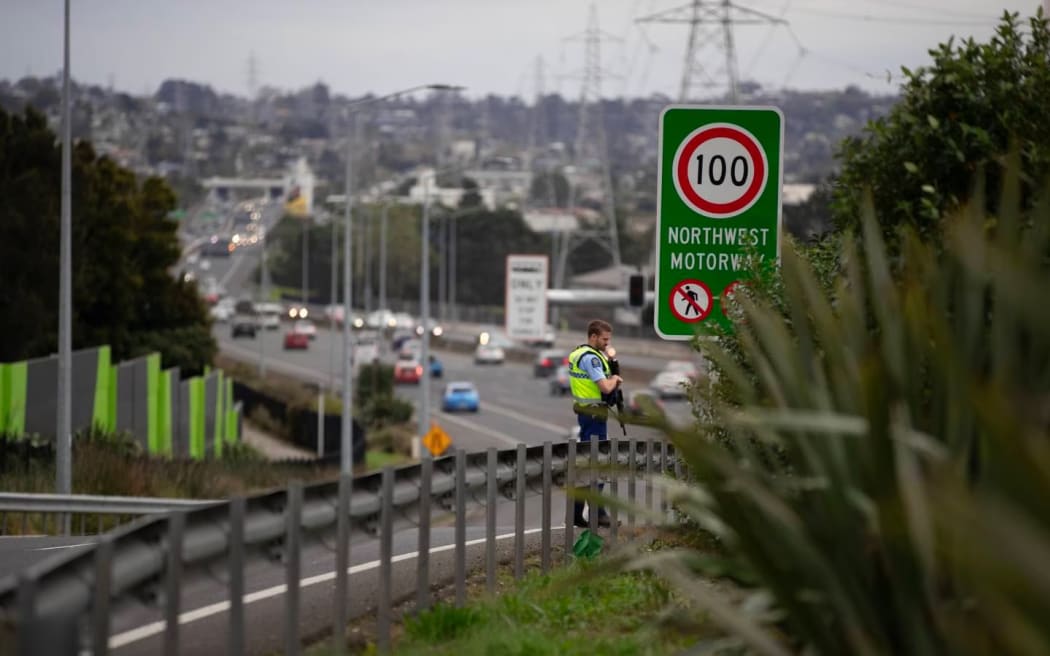 An officer on the Te Atatu on-ramp to the motorway in the hunt for Auckland's elusive motorway pig.