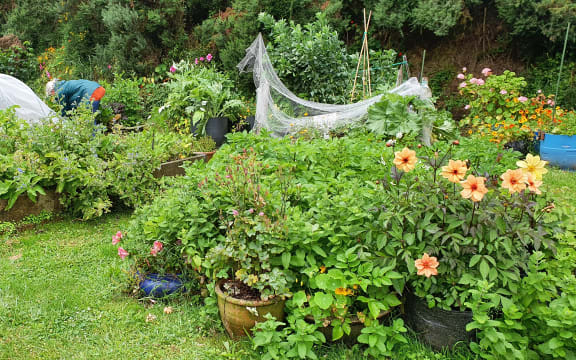 Chris Montgomery working in a vegetable bed at Innermost Gardens.