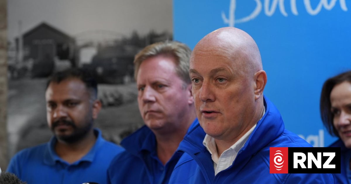 National proposes new marine reserves, complete ban on commercial fishing in Hauraki Gulf