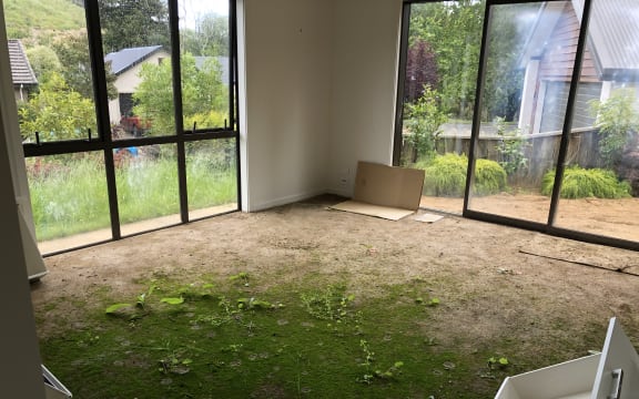 The lounge of an abandoned house. There is green grass and weeds growing on the brown carpet. There is no furniture, but a few dumped items and cardboard boxes. The lawn outside is overgrown.