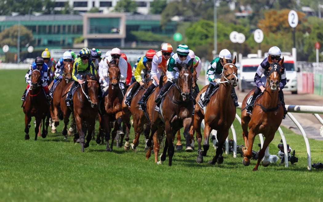 MELBOURNE, AUSTRALIA - NOVEMBER 07: Horses come toward the bend in the Lexus Melbourne Cup at Flemington Racecourse on November 07, 2023 in Melbourne, Australia. (Photo by Asanka Ratnayake/Getty Images)