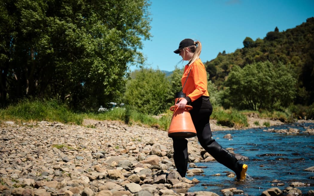 Greater Wellington's Darien Kissick monitoring toxic algae at Te Awa Kairangi Hutt River.