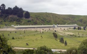 The government is confident its teams will be able eradicate the high pathogenic avian influenza or bird flu, which has been found at Hillgrove Egg Farm in Otago.