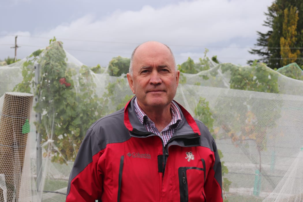 Horticulture New Zealand chairman Barry O’Neil is a kiwifruit grower in Bay of Plenty.