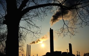 A view of a tree and smoke rising from stacks at a factory in Lille, on January 17, 2013. AFP PHOTO / PHILIPPE HUGUEN (Photo by Philippe HUGUEN / AFP)